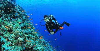 language camp scuba diving